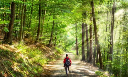 Is Sticking with Your Existing Mortgage Lender the Best Option?